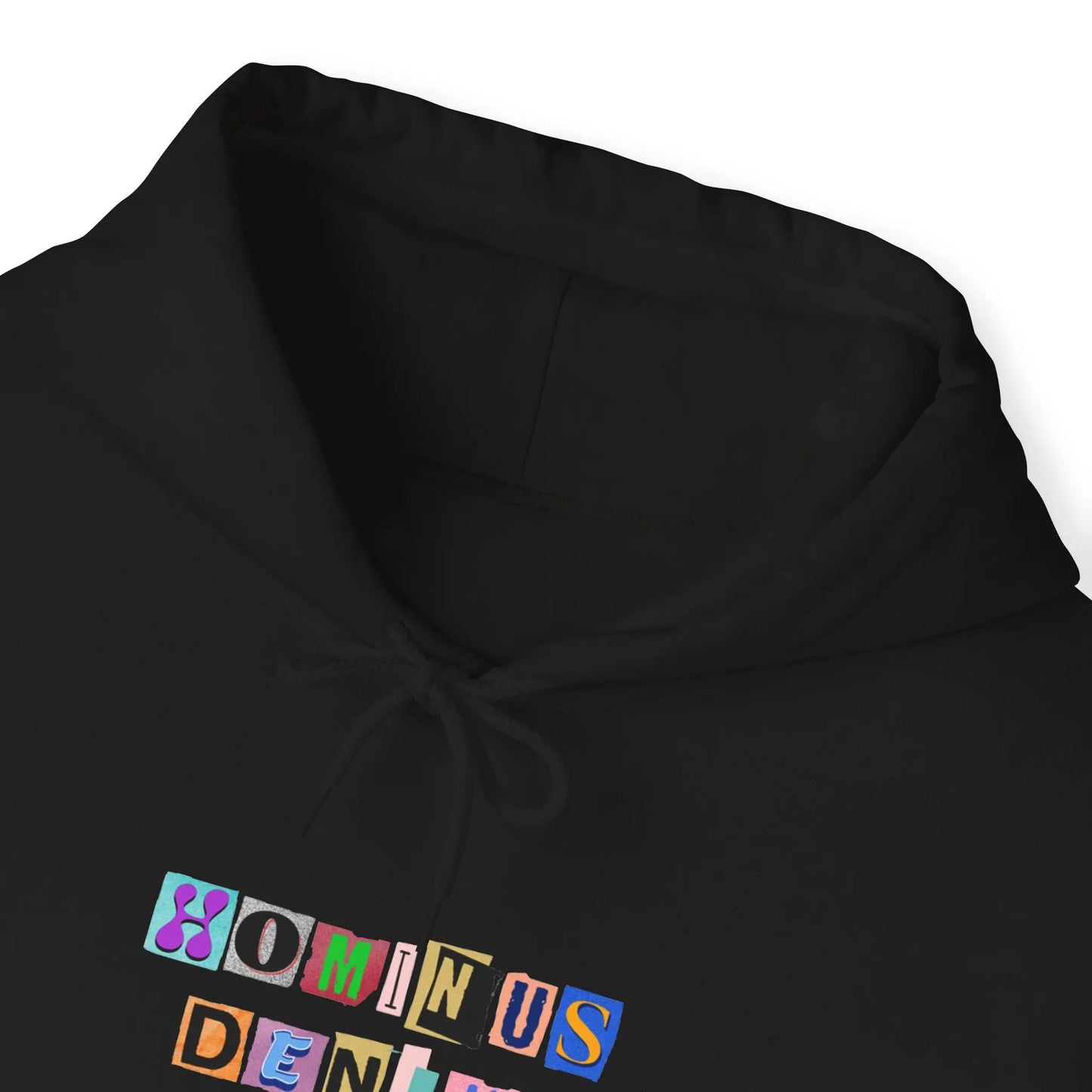 Frame Hoodie - Hominus Denim