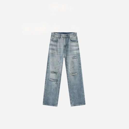 Light Blue Washed Destroyed Casual Jean Hominus Denim